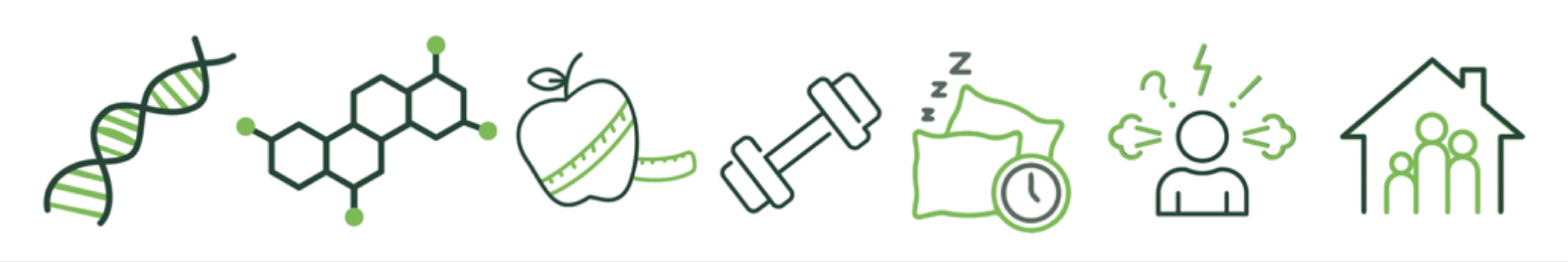 Illustration of factors affecting body weight - genetics, nutrition, exercise, sleep