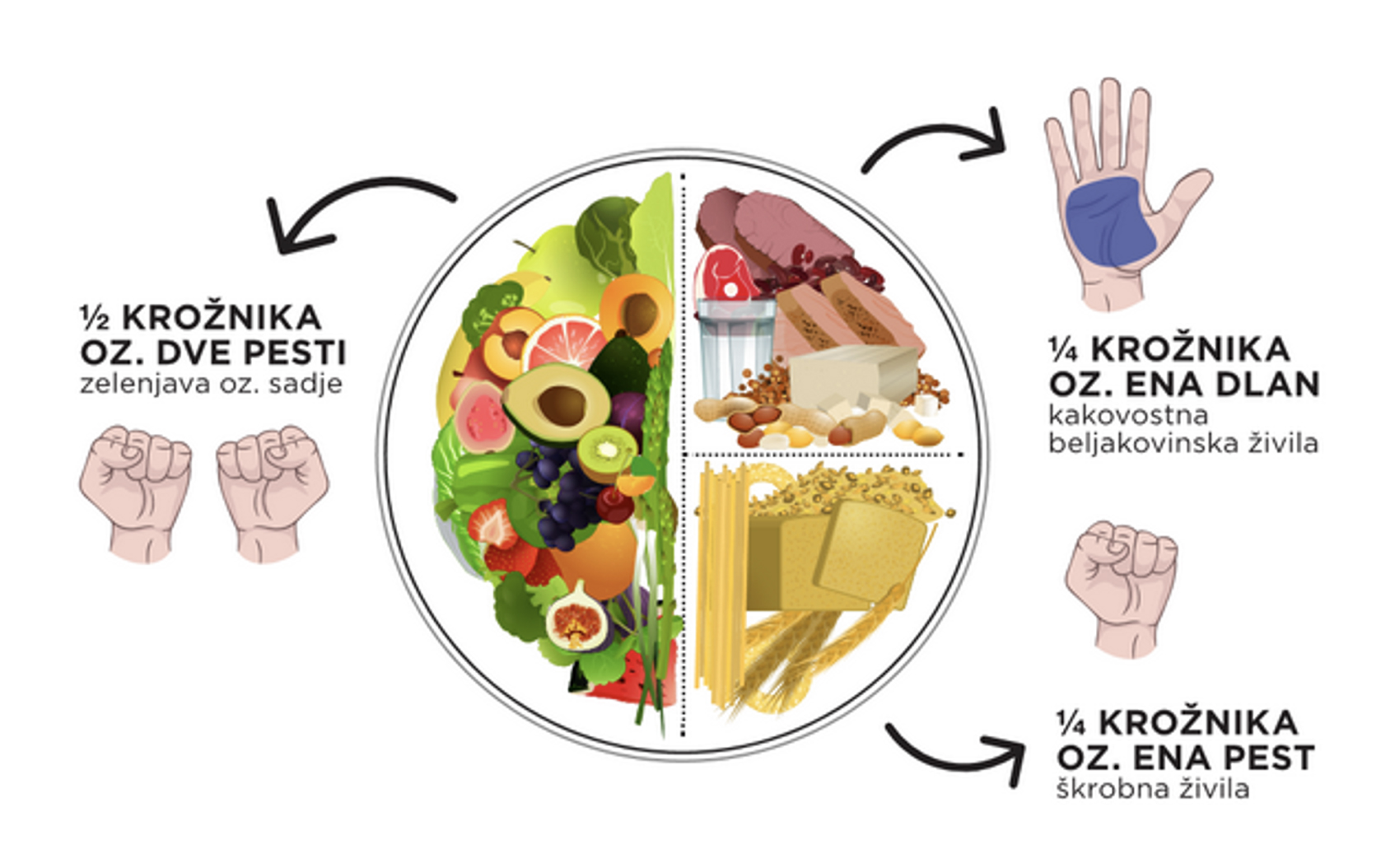 Illustration of a balanced plate showing half filled with vegetables, one quarter with protein foods, and one quarter with starchy foods